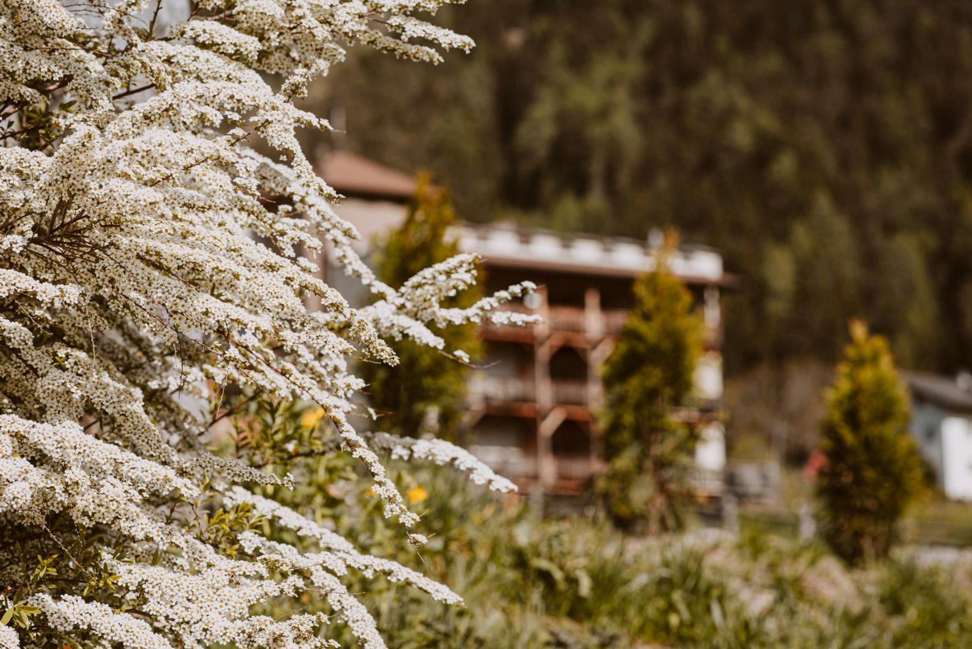 Hotel Bergschloessl ลูซอน ภายนอก รูปภาพ